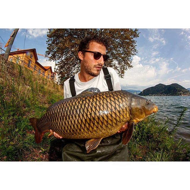 A man proudly displays a large carp he caught by a lake on a sunny day. 