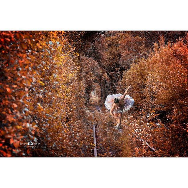 A ballerina dances in a tunnel of trees, a beautiful image conveying artistry and nature.