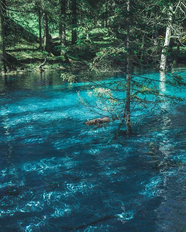 A tranquil turquoise river flows through a green forest, creating a serene and picturesque natural scene.