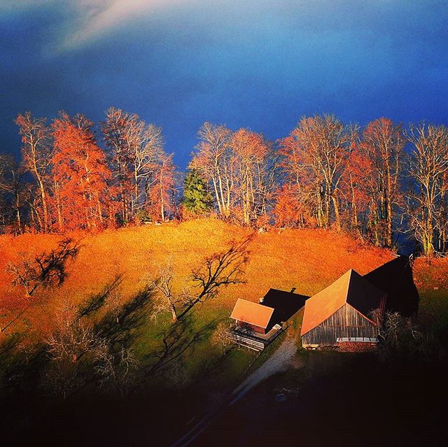 Aerial view of houses nestled in a hillside with vibrant autumn trees under a blue sky.