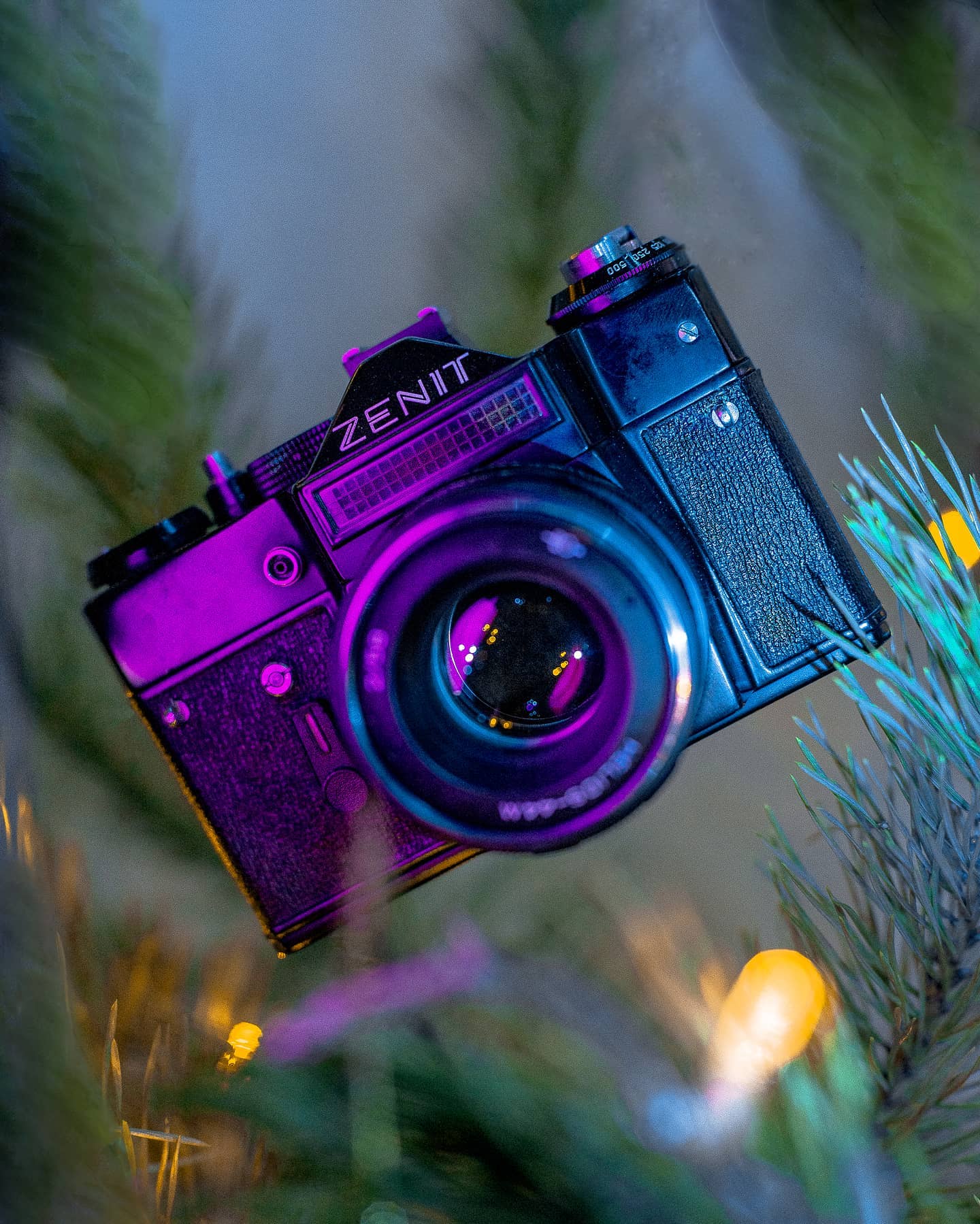 Vintage Zenit camera with a lens surrounded by pine needles with a dreamy and mysterious feel. Great for retro nostalgia campaigns.