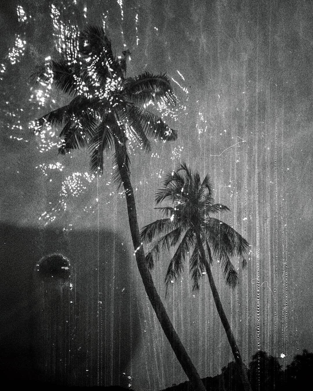 A vintage monochrome image of palm trees evokes a dreamy tropical scene, perfect for travel and relaxation themes.