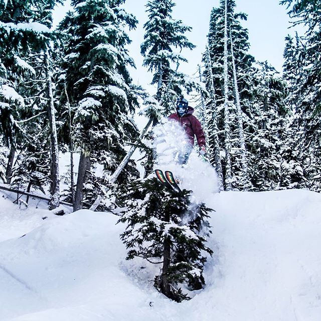 A skier jumps over a snow-covered tree in a winter forest, showcasing an action-packed moment in a snowy landscape.