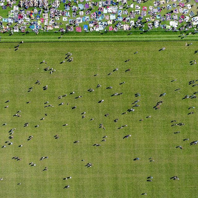 An aerial view of a large group of people enjoying a picnic on a sunny day in a park.