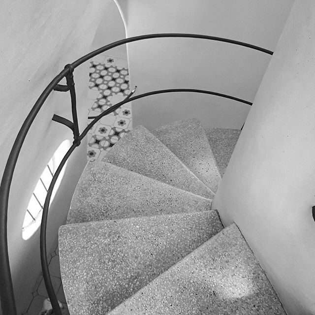 A minimalist spiral staircase winds upward, featuring a sleek handrail and textured steps.