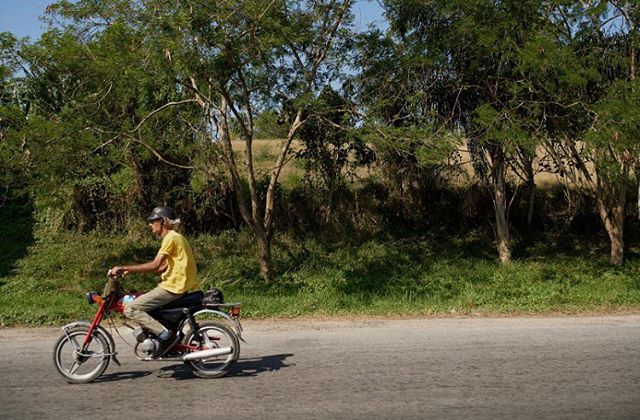 A man rides a red motorcycle on a road in the countryside on a sunny day.