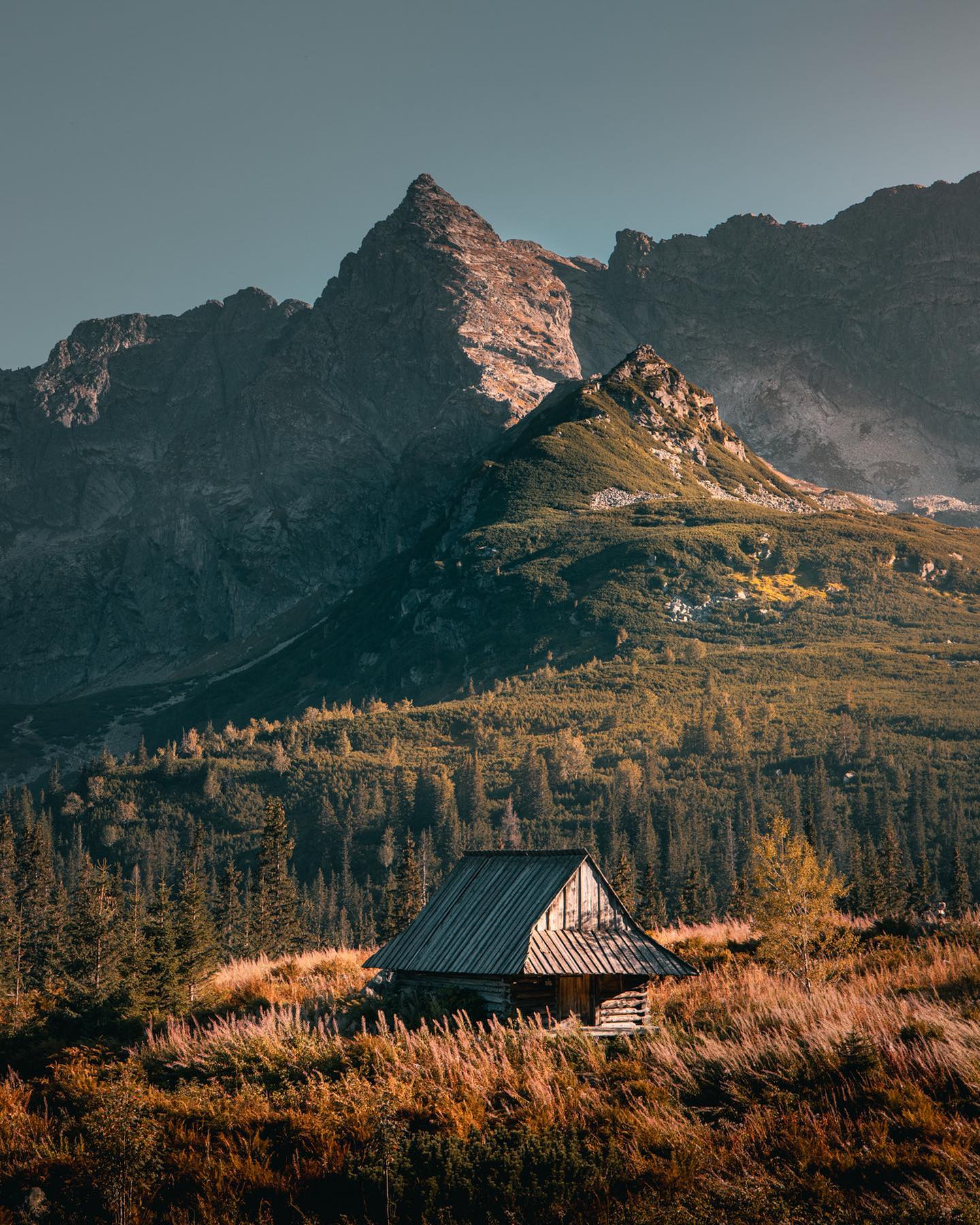 A rustic cabin nestled in a mountainous landscape, with trees and tall grass, a tranquil and scenic view.