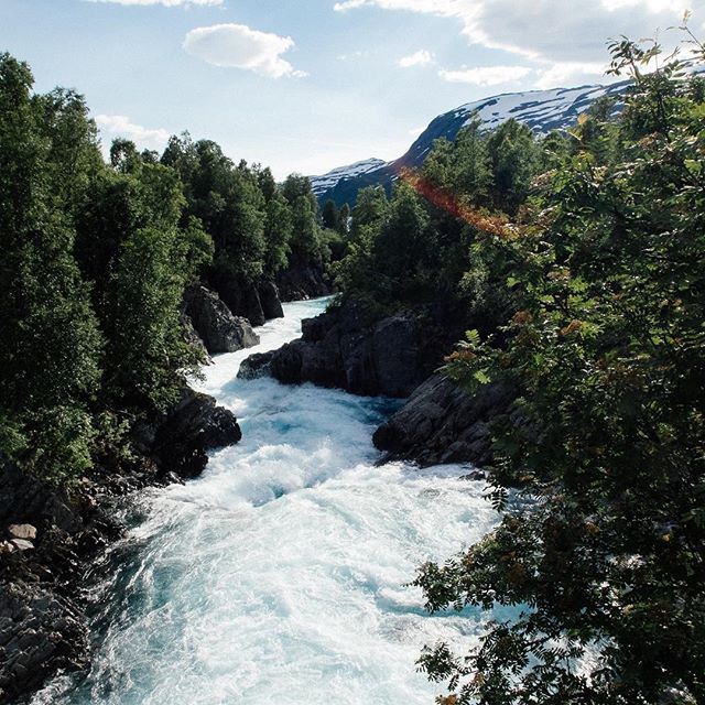 A scenic view of a rushing river through a forest landscape with mountains in the background.