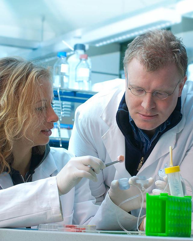 Two scientists work in a laboratory, conducting medical research with tools and equipment.