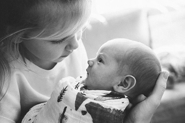 A close up captures a loving moment between a child and baby, filled with affection and warmth.