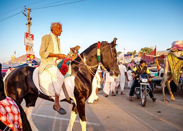 An elderly man rides a decorated horse alongside a motorcycle and a camel in a busy outdoor market scene.