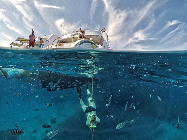 A diver explores a vibrant underwater world near a boat, showcasing the beauty of marine life and travel adventure.