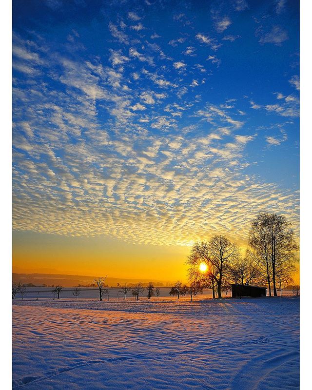 A serene winter sunset paints the sky above a snow-covered field with trees on the horizon.