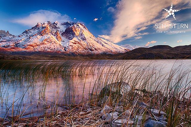 Scenic view of a snow-capped mountain reflecting in a calm lake with grasses in the foreground.