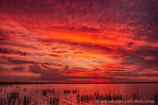 Fiery sunset over a tranquil lake, the sky ablaze with vibrant red and orange hues, reflecting on the calm water.