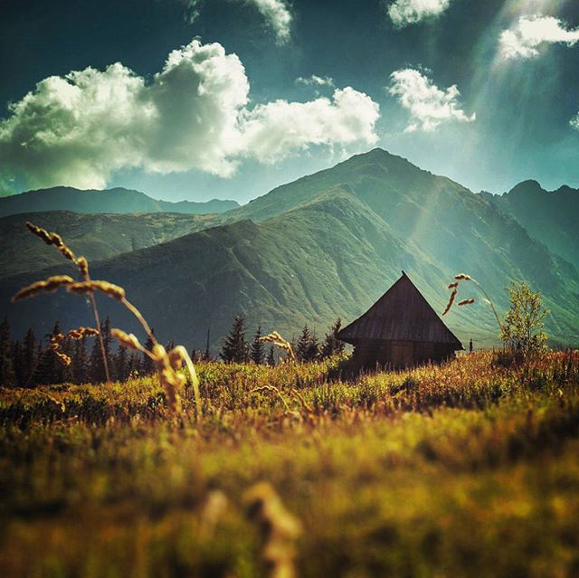 A peaceful cabin nestled in a grassy field with mountains under a cloudy sky.