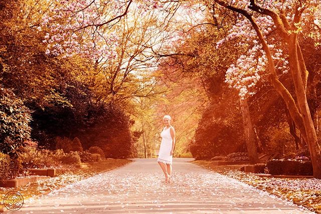 A woman in a white dress stands on a flower-petal-covered path in a serene, sunlit park.