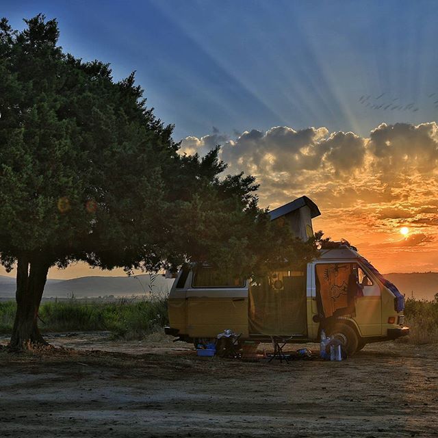 A yellow campervan parked near a tree at sunrise, enjoying the beautiful outdoor lifestyle and the freedom of the open road.