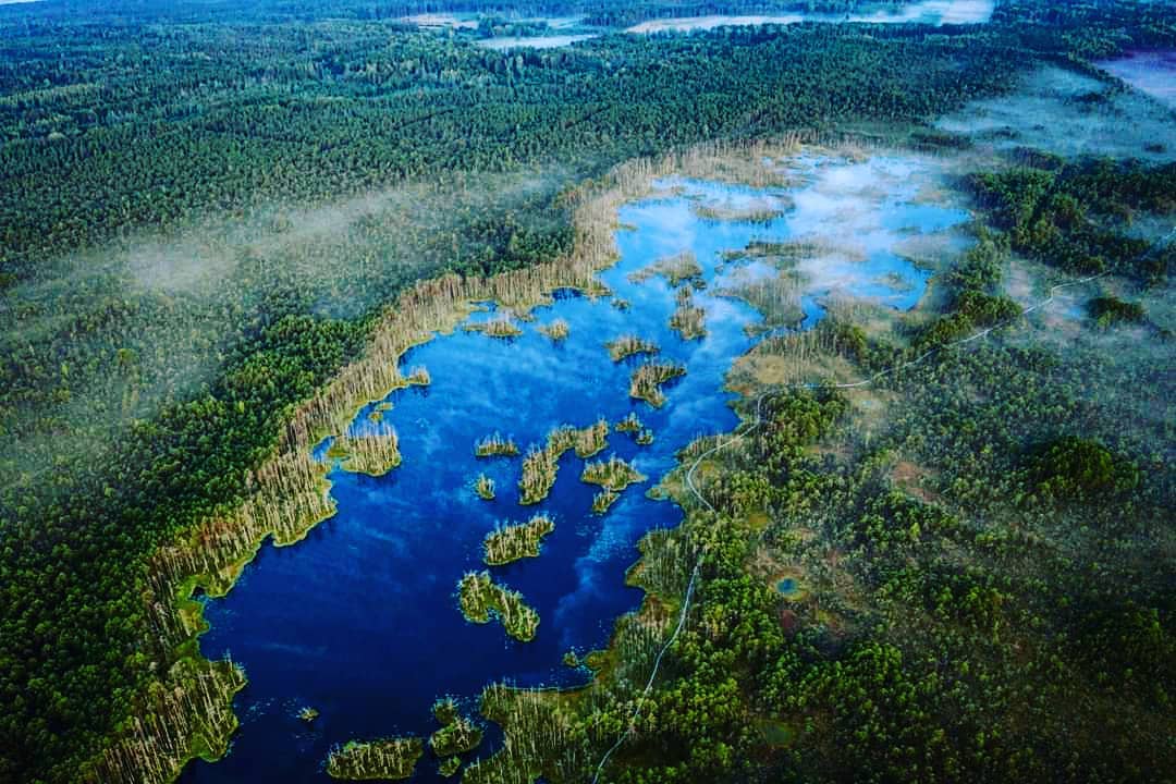 Aerial view of a serene lake with small islands surrounded by a lush green forest.
