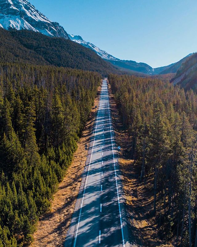 A scenic road stretches through a lush forest towards snow-capped mountains under a clear sky.