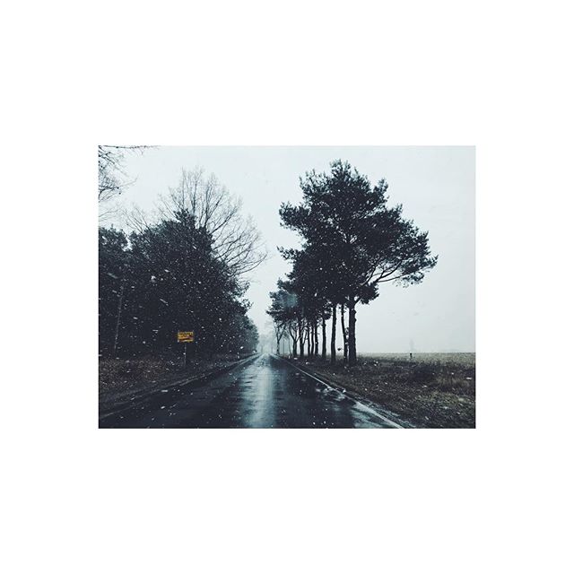 A quiet snowy road lined with trees creates a serene winter landscape.
