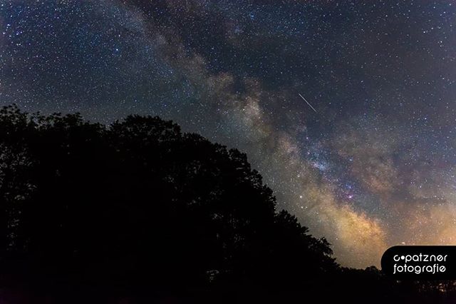 The Milky Way stretches across the night sky above silhouetted trees, with a shooting star streaking through the atmosphere.