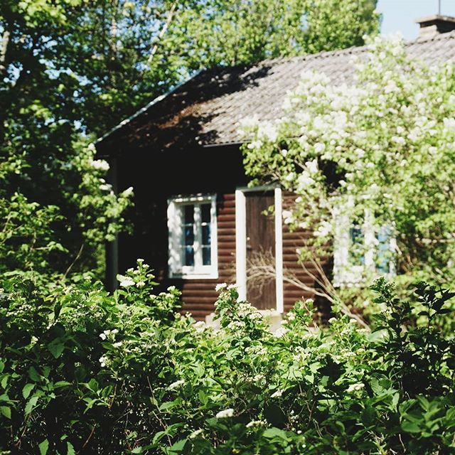 A quaint brown house is nestled among lush green bushes, offering a serene escape to the countryside.