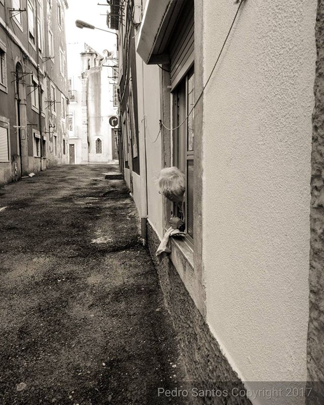A person leans out of a window in a quiet, vintage-style alleyway scene.