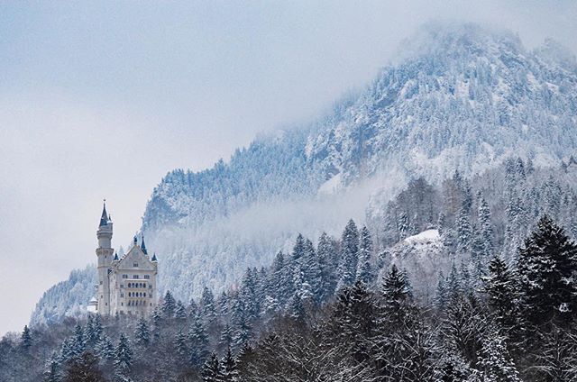 Neuschwanstein Castle nestled in a snowy, mountainous landscape with trees and a dreamy winter atmosphere.