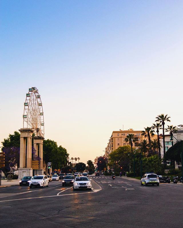 Cityscape with a ferris wheel, palm trees, buildings and cars on the road.