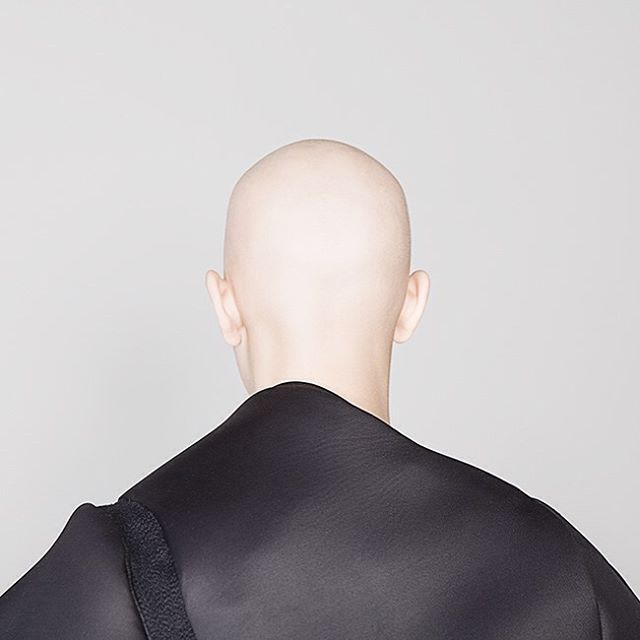A bald person from the back of their head, in a simple studio setting with soft lighting and a neutral background.