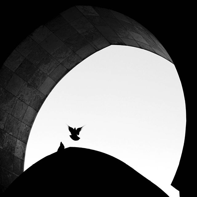 A monochromatic image featuring birds silhouetted against a bright opening framed by an arched structure.