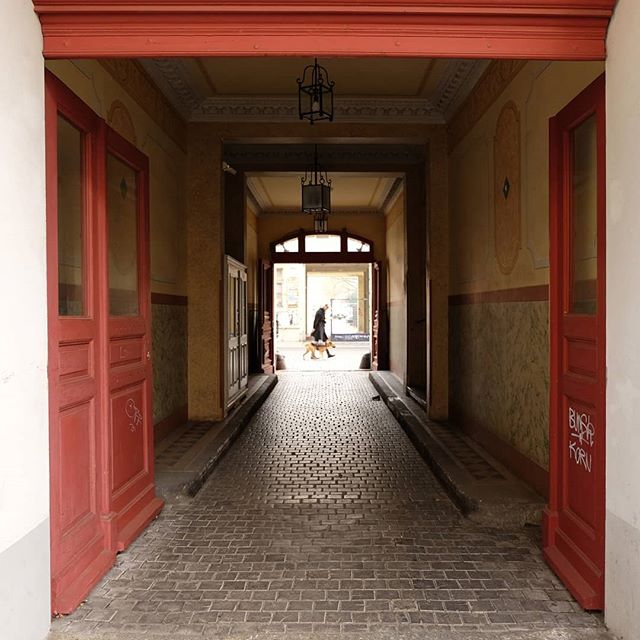 An inviting hallway leads to a person and dog walking outside, showcasing vintage architecture and design.