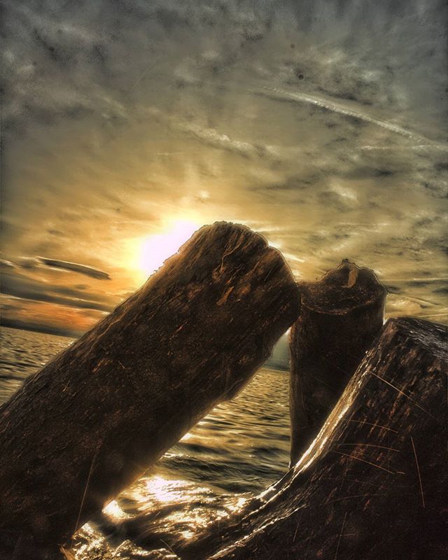 Logs on a beach at sunset create a tranquil and scenic seascape, perfect for a travel promotion.