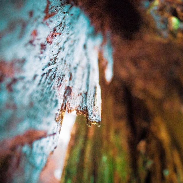 A close-up of frost and ice on tree bark creates a tranquil and natural winter scene.