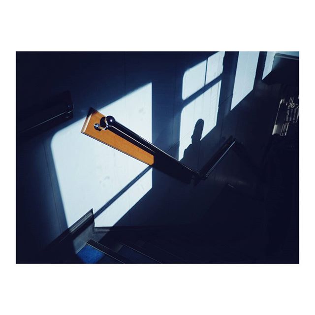 A high-contrast shot of a staircase with strong window light casting graphic shadows on the wall and floor.