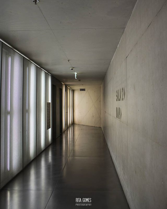 A long, gray hallway features minimalist design, sleek lines, and neutral tones, creating a sense of calm and order.