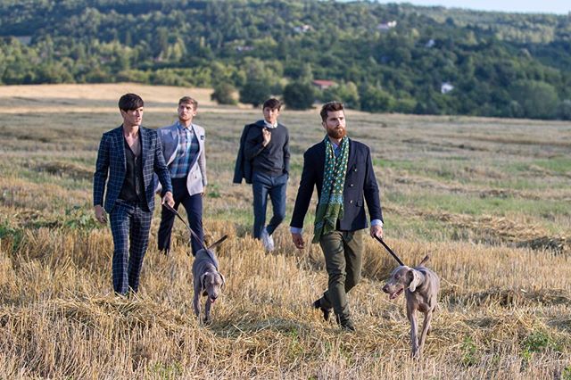 Four stylish men walk their dogs through a harvested field in the countryside.