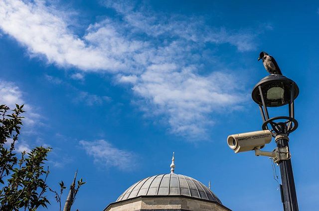 A crow perches atop a lamp post with a security camera, set against a clear blue sky above a mosque dome.