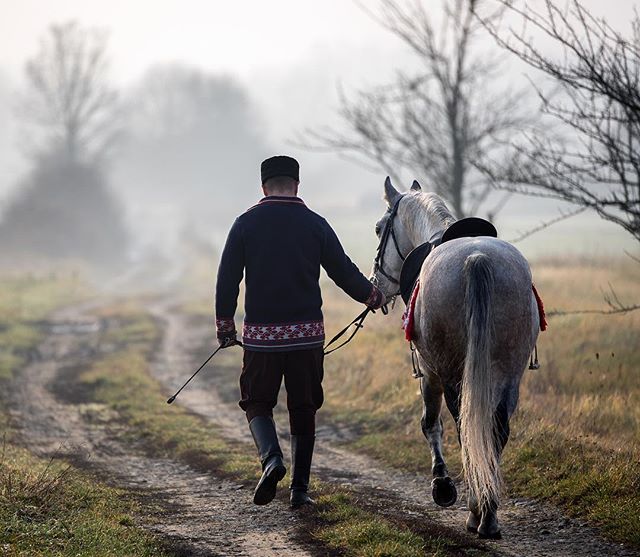 A man walks alongside a gray horse on a dirt road in a tranquil, rural setting. Foggy background.