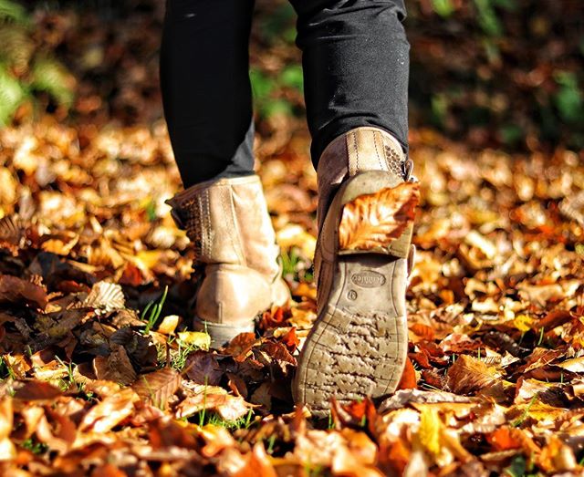 A person walking through autumn leaves wearing tan boots and black pants.
