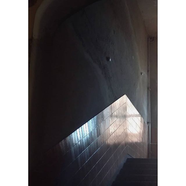 A low-angle shot captures the architectural grandeur of a modern staircase bathed in soft natural light.