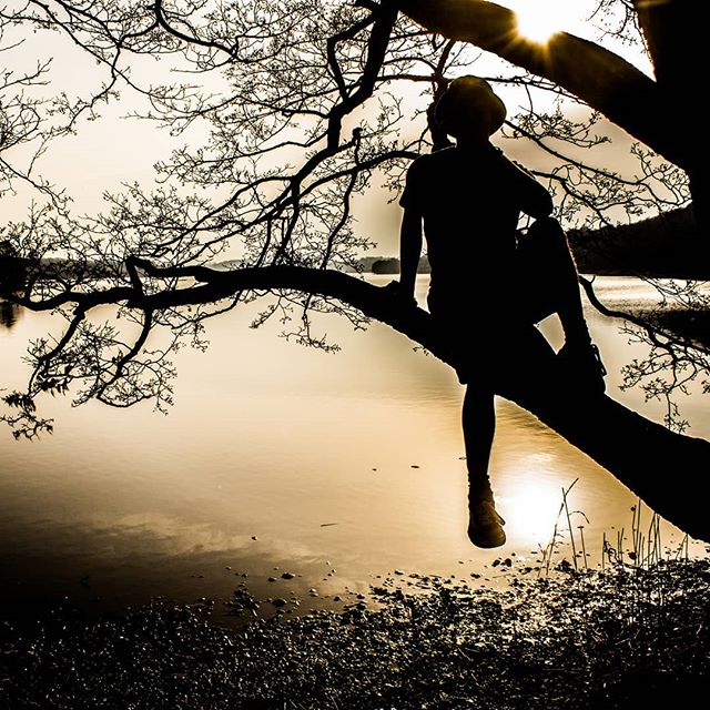 A silhouetted man sits on a tree branch overlooking a calm lake at sunset, embodying peaceful contemplation.