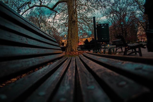 A serene park view through park benches, under bare trees and a cloudy sky.