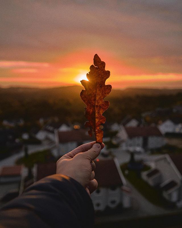 A hand holds an autumn leaf up to the sunset sky, a serene cityscape blurred in the background.