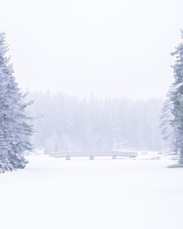 A serene winter landscape featuring a bridge amidst a snowy forest, creating a tranquil scene.
