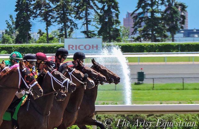 A group of racehorses and their jockeys compete at a racetrack, showcasing the excitement of horse racing.