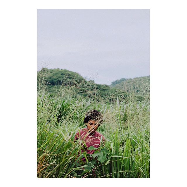 A man in a red shirt stands among tall green grasses in a field under an overcast sky.