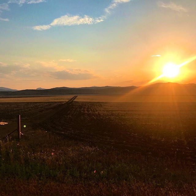 A scenic sunset view featuring a dirt road leading through a field towards distant mountains. Serene, calm, and hopeful countryside.