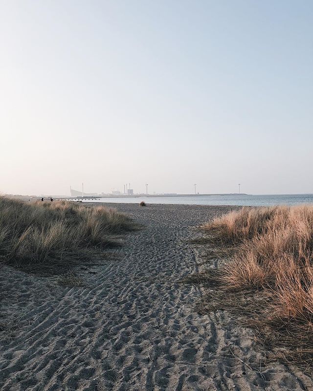 A peaceful beach scene featuring a sandy path, dune grass, and the tranquil sea under a hazy sky.